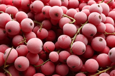 Tasty frozen red currants as background, closeup view