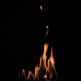 Photo of Beautiful bright fire flames on black background