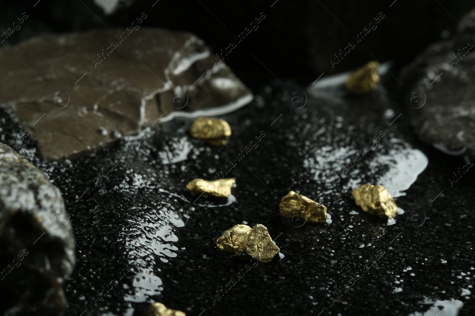 Photo of Shiny gold nuggets on wet black stone