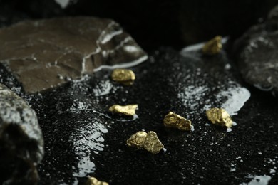 Photo of Shiny gold nuggets on wet black stone
