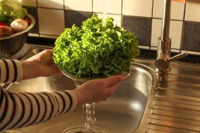 Photo of Woman washing fresh lettuce leaves in metal colander, closeup