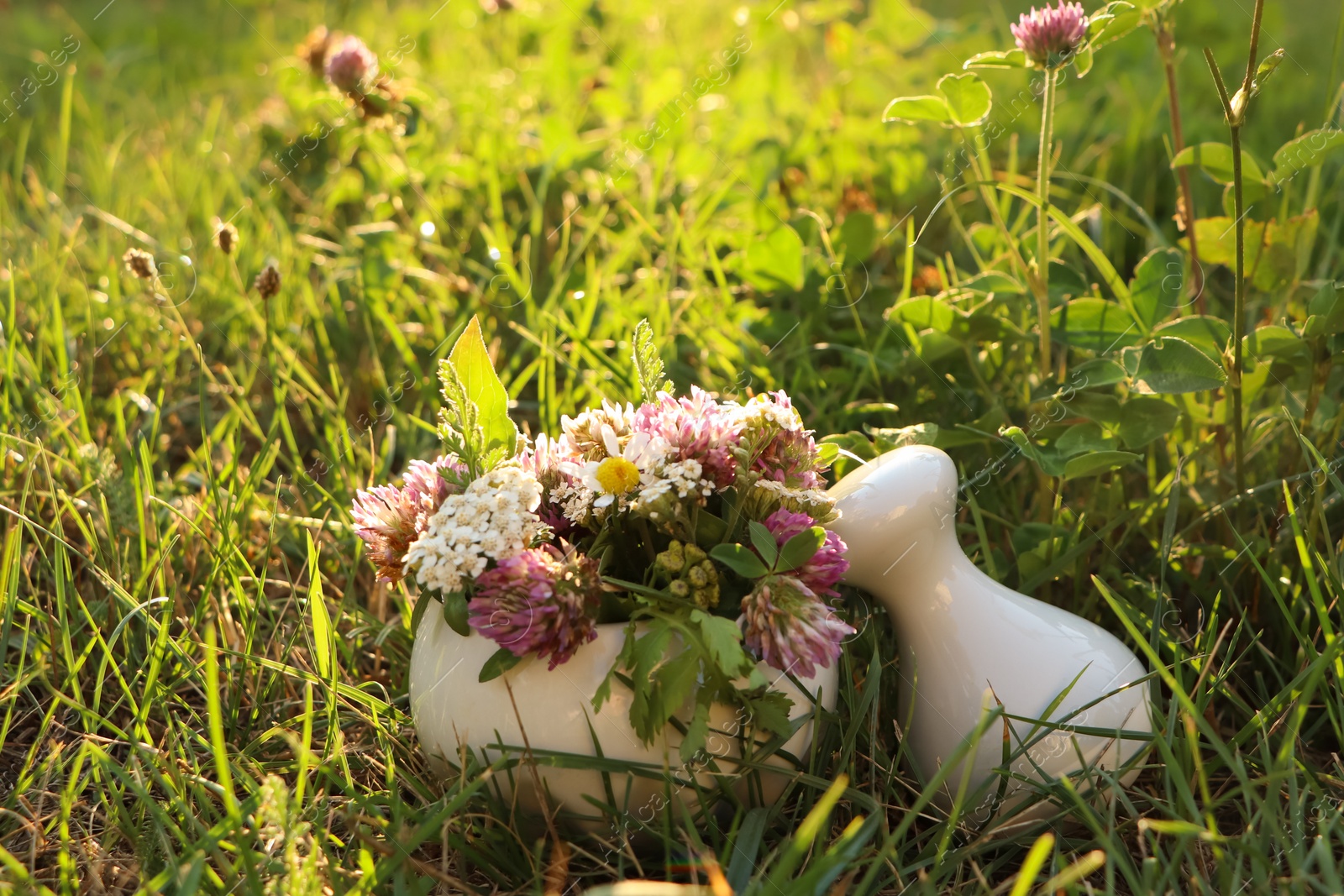 Photo of Ceramic mortar with pestle, different wildflowers and herbs in meadow on sunny day
