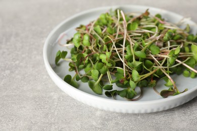 Plate with fresh radish microgreens on light grey table, closeup