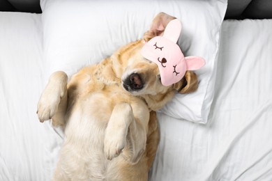 Photo of Cute Labrador Retriever with sleep mask resting on bed, top view