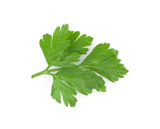 Photo of Sprig of fresh green parsley leaves on white background, top view