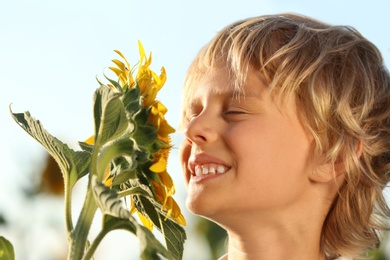 Photo of Cute little boy sniffing sunflower outdoors. Child spending time in nature