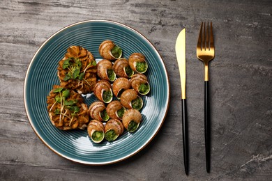 Delicious cooked snails served on grey table, flat lay