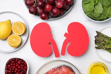 Flat lay composition with paper cutout of kidneys and different products on white marble table