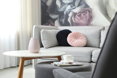 Modern living room interior with comfortable sofa