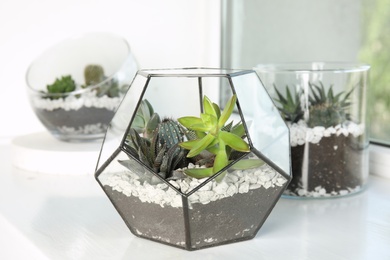 Photo of Glass florariums with different succulents on windowsill