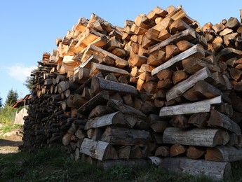 Piles of dry stacked firewood in grass outdoors