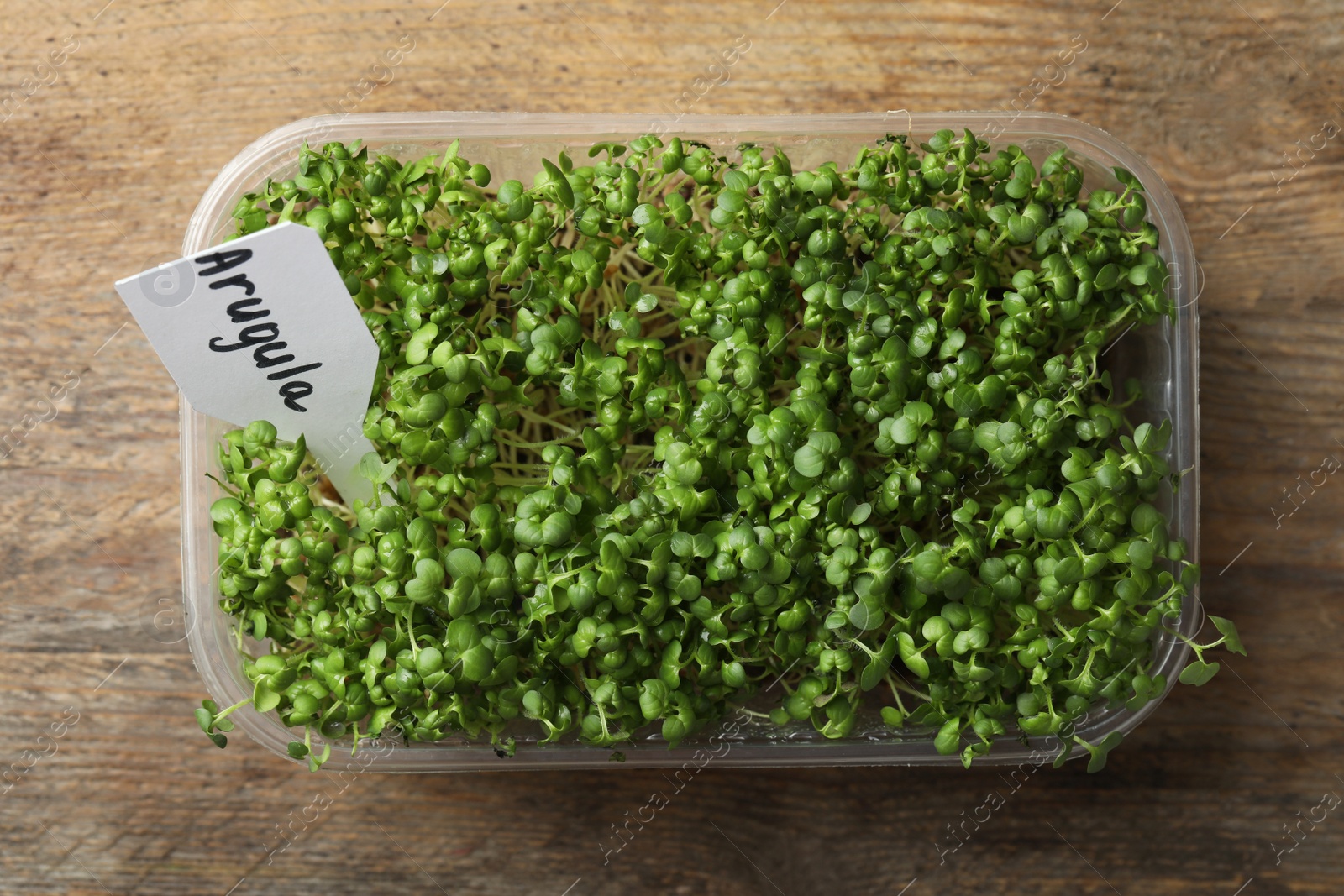 Photo of Sprouted arugula seeds in plastic container on wooden table, top view
