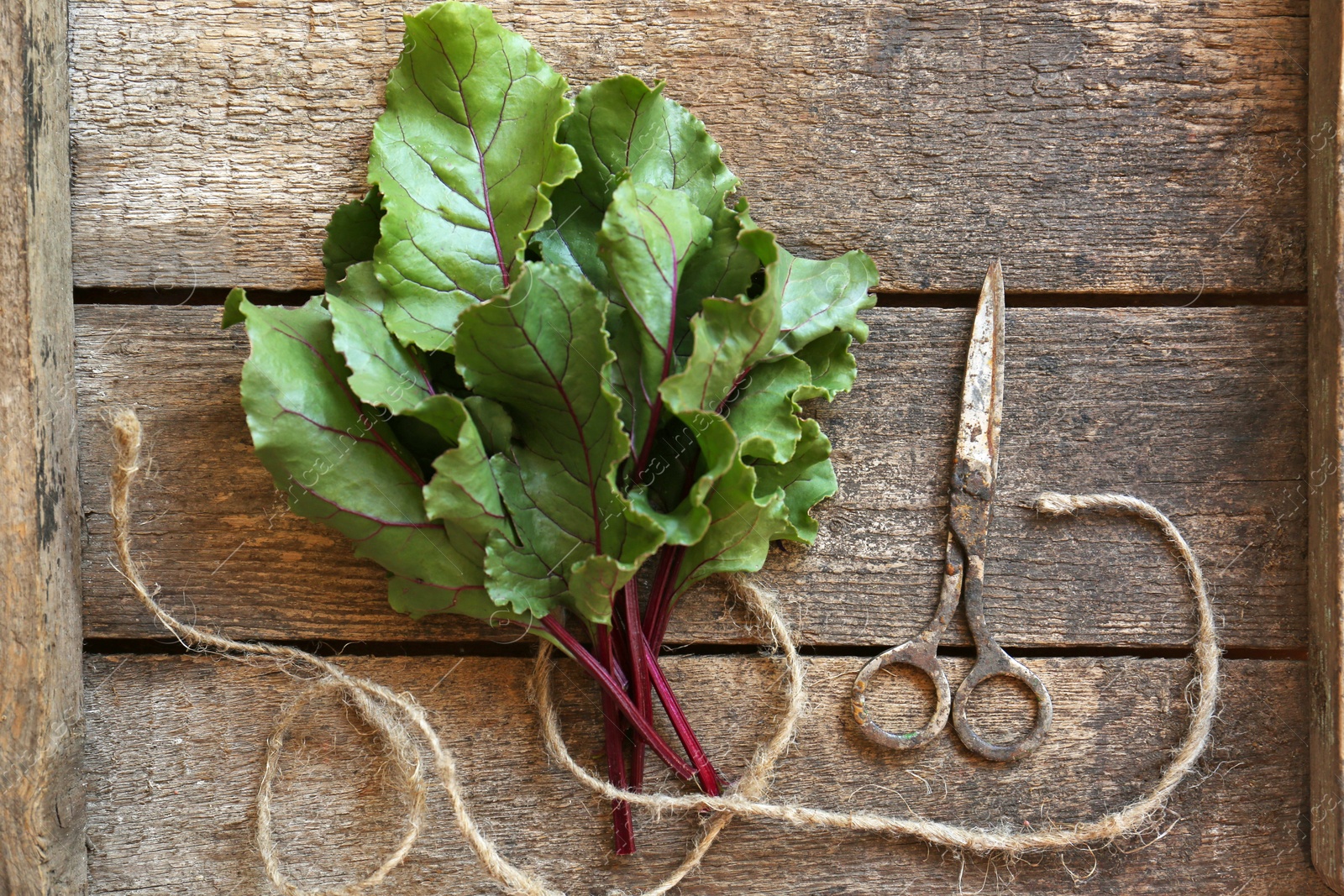 Photo of Beetroot leaves, rope and rusty scissors on wooden table, flat lay