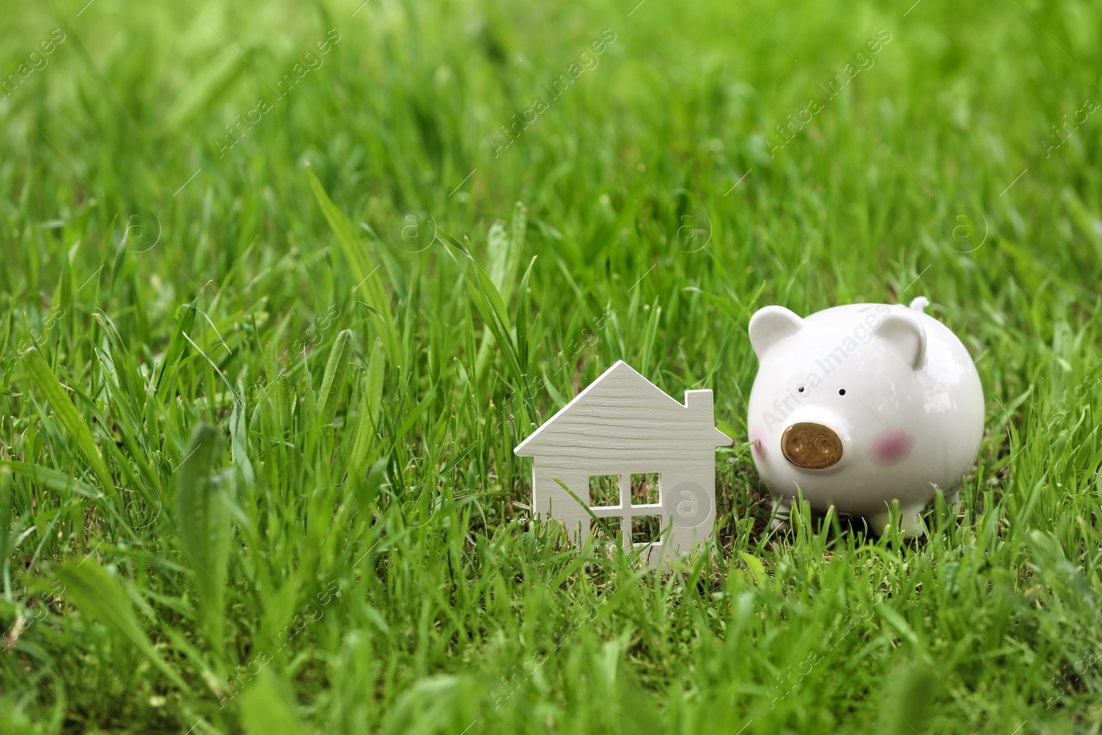 Photo of Cute piggy bank and model of house in green grass outdoors. Space for text