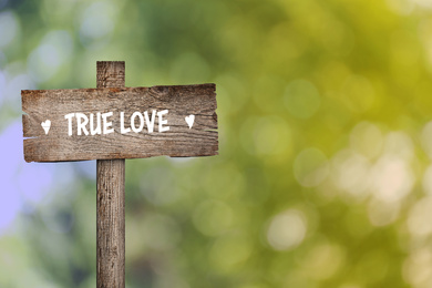 Image of Wooden plaque with inscription True Love outdoors, space for text 