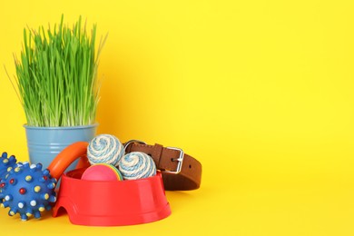 Various pet toys, bowl and wheatgrass on yellow background, space for text