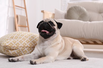 Photo of Cute fawn pug lying on floor at home