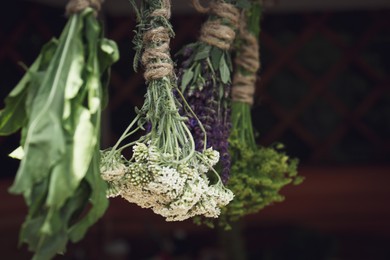 Photo of Bunches of different beautiful dried flowers hanging indoors