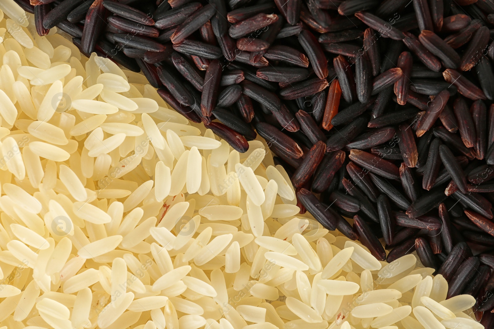 Photo of Brown and other types of rice as background, closeup