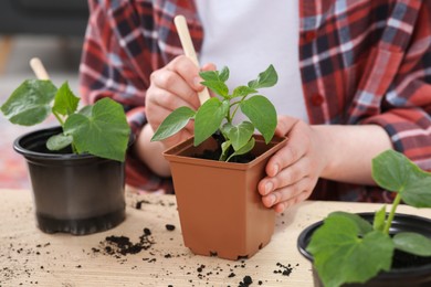 Photo of Woman planting seedlings into pot at wooden table, closeup