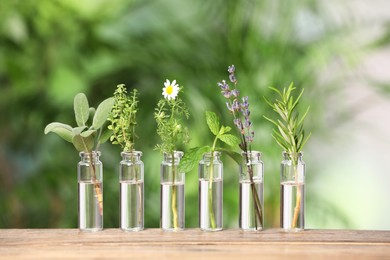 Photo of Many bottles with essential oils and plants on wooden table against blurred green background