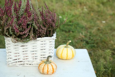 Photo of Beautiful heather flowers in basket and pumpkins on white table outdoors, space for text