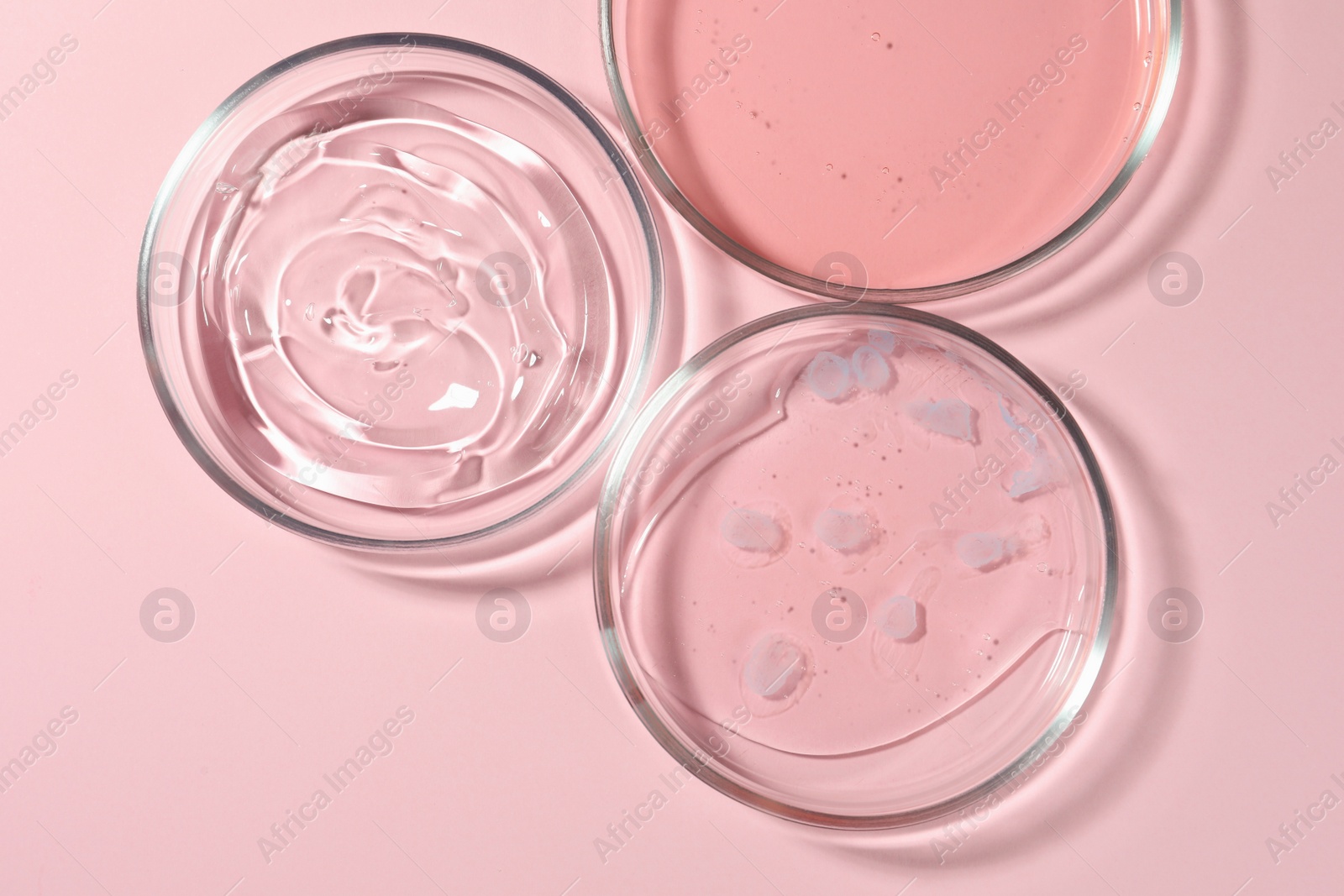 Photo of Petri dishes with liquids on pale pink background, flat lay