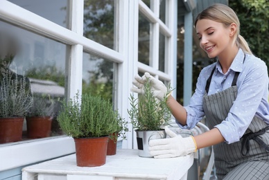 Photo of Young woman taking care of home plants at white wooden table outdoors