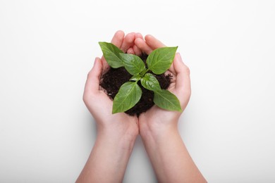 Photo of Woman holding soil with green seedling on white background, top view