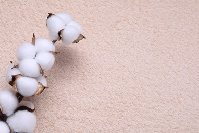 Photo of Cotton branch with fluffy flowers on beige terry towel, top view. Space for text