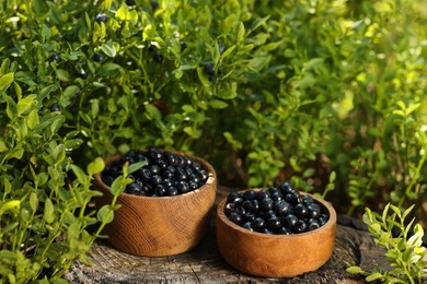 Photo of Bowls of delicious bilberries on stump outdoors