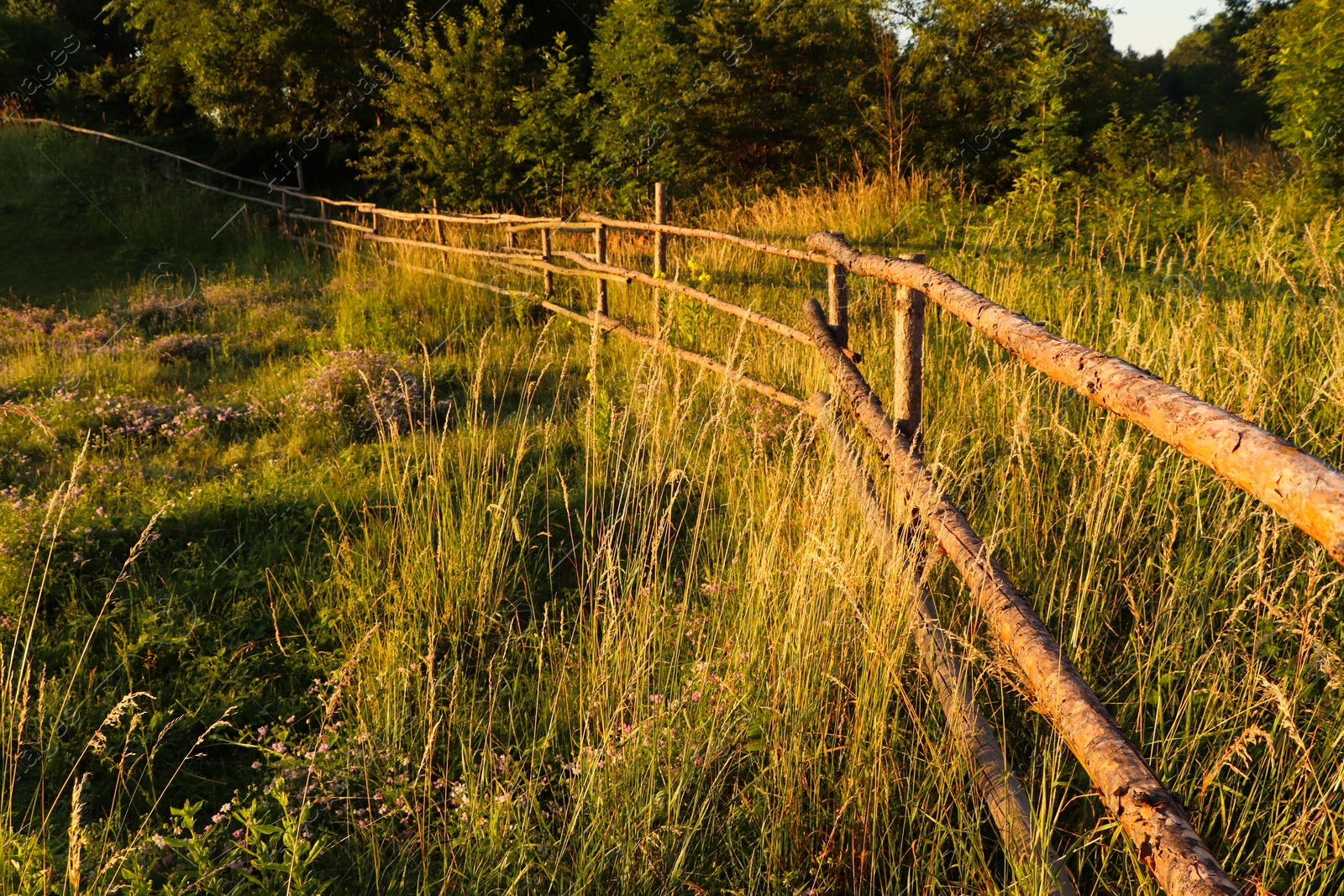 Photo of Picturesque view of countryside with wooden fence in morning