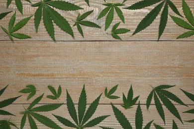 Fresh green hemp leaves on wooden table, flat lay. Space for text