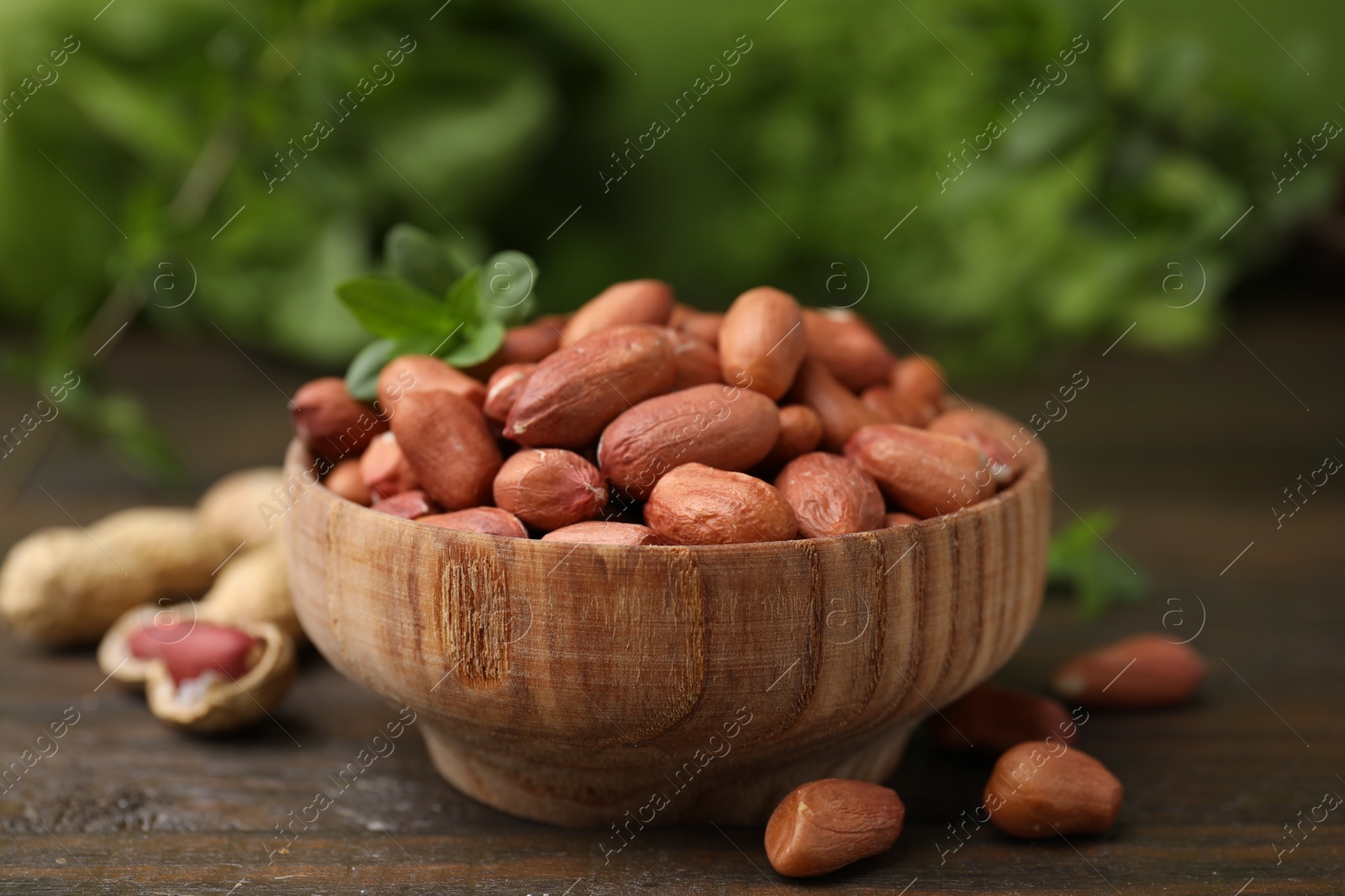 Photo of Fresh unpeeled peanuts in bowl on wooden table against blurred green background, closeup