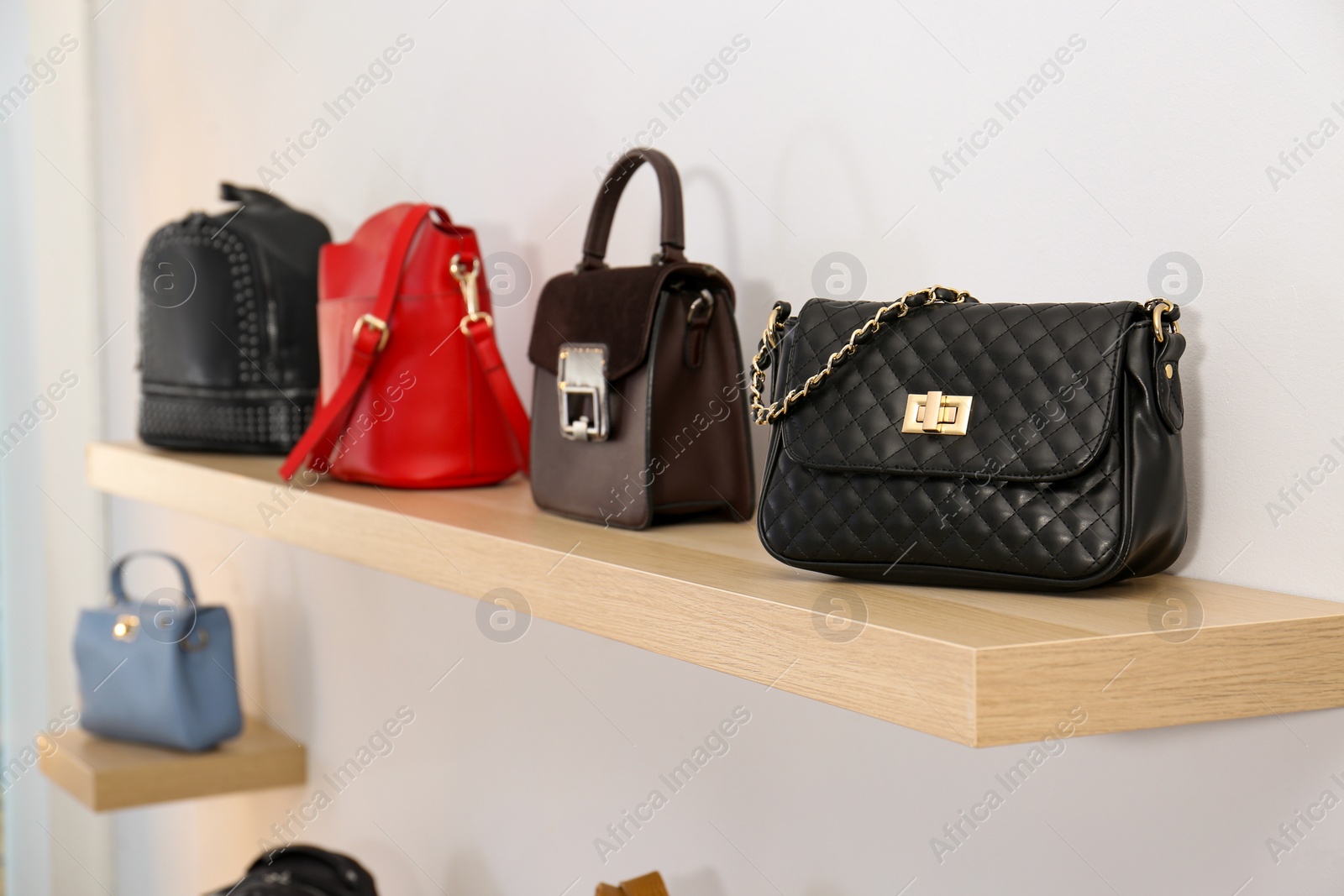 Photo of Stylish woman's bags on shelf in boutique