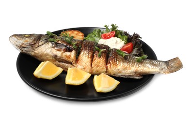 Photo of Plate with delicious sea bass fish and ingredients isolated on white