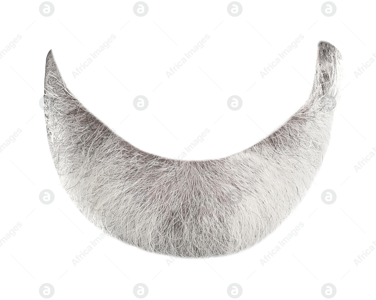 Image of Stylish gray beard isolated on white. Facial hair