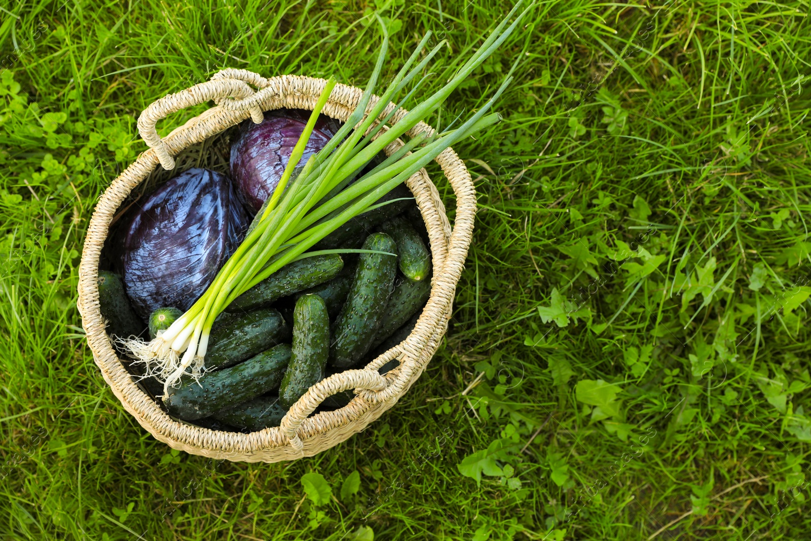 Photo of Tasty vegetables in wicker basket on green grass, top view. Space for text