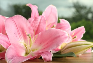 Photo of Beautiful pink lily flowers on wooden table, closeup