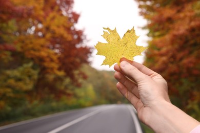 Woman holding beautiful leaf outdoors on autumn day, closeup. Space for text