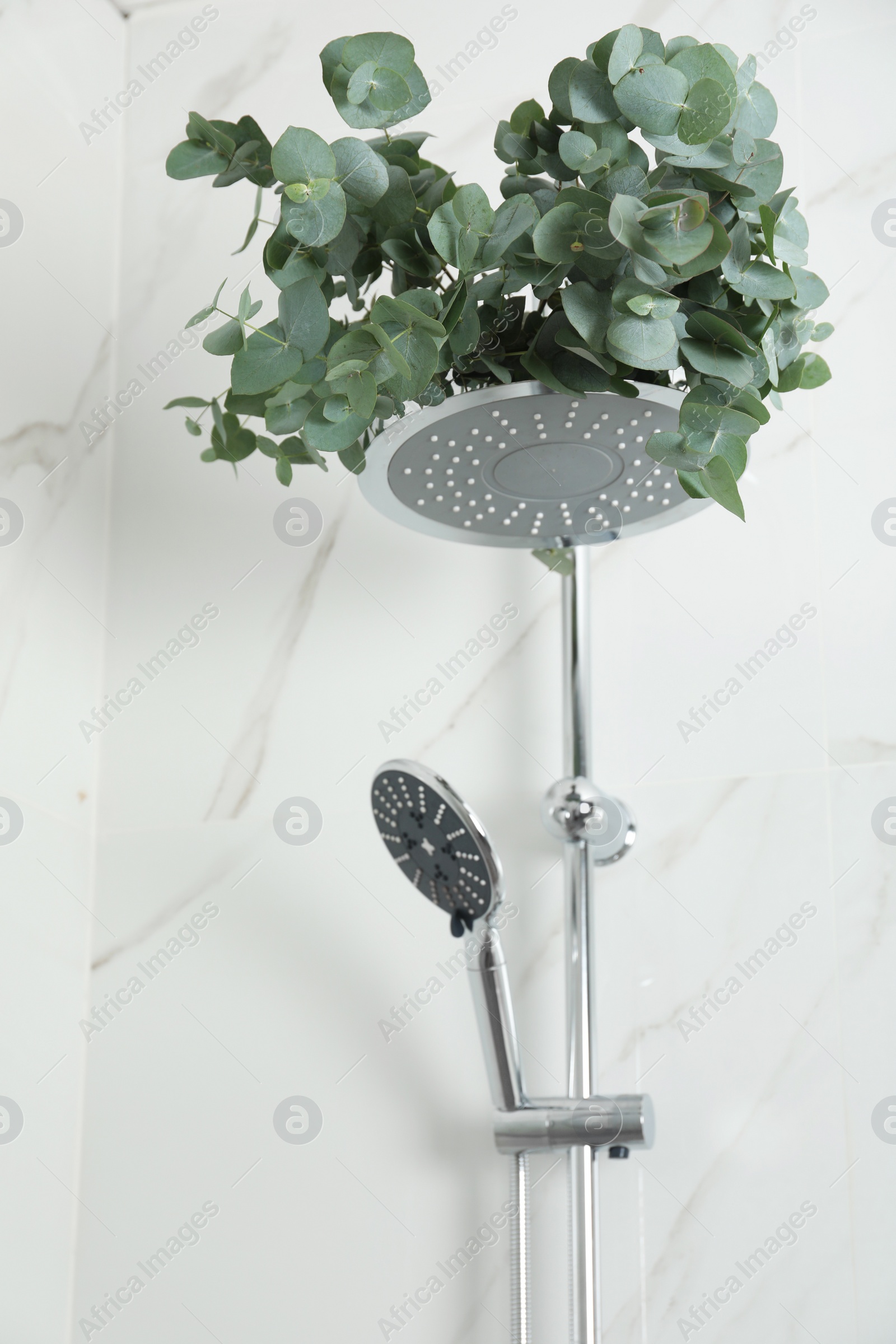 Photo of Branches with green eucalyptus leaves in shower