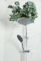 Photo of Branches with green eucalyptus leaves in shower