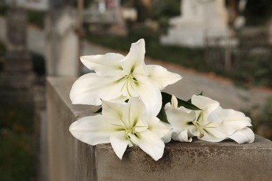 Photo of White lilies on grey tombstone outdoors, closeup. Funeral ceremony