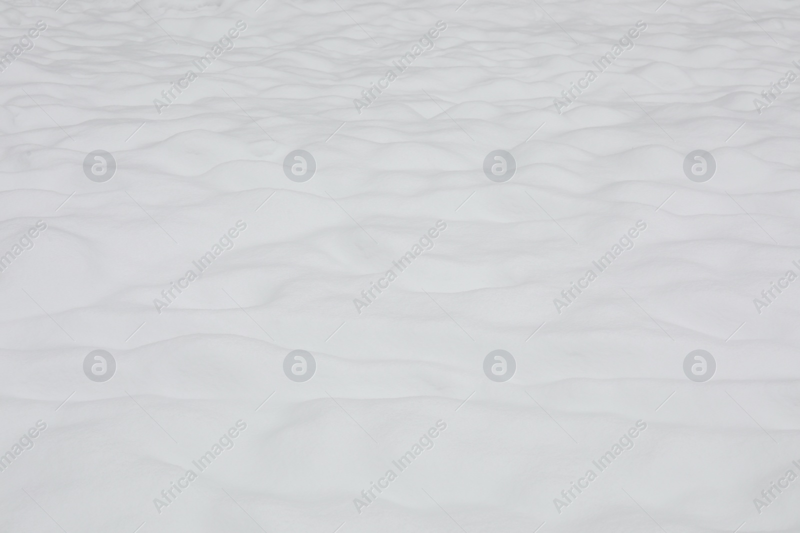 Photo of Beautiful white snow as background, closeup. Winter season