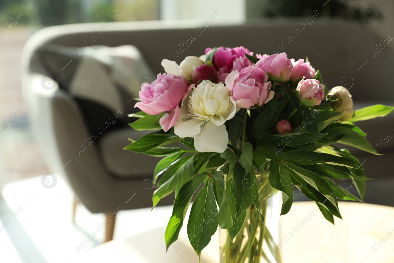 Photo of Vase with bouquet of beautiful peonies in room, space for text