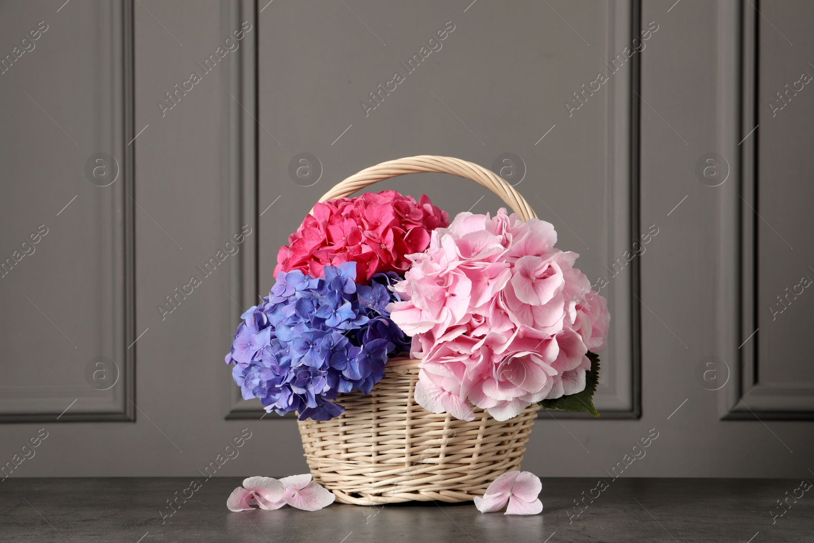 Photo of Bouquet with beautiful hortensia flowers in wicker basket on grey table