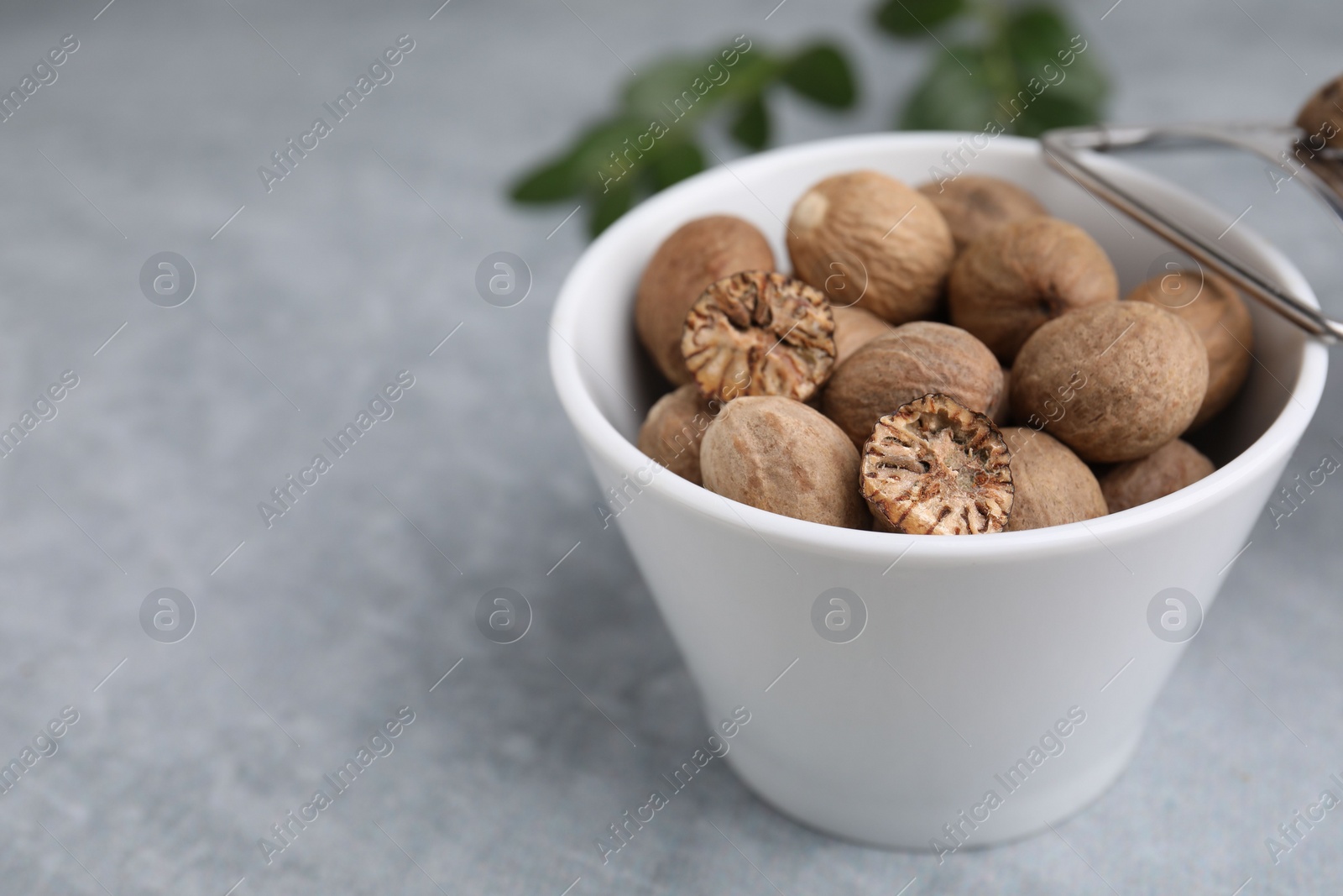 Photo of Nutmegs in bowl on light grey table, closeup. Space for text