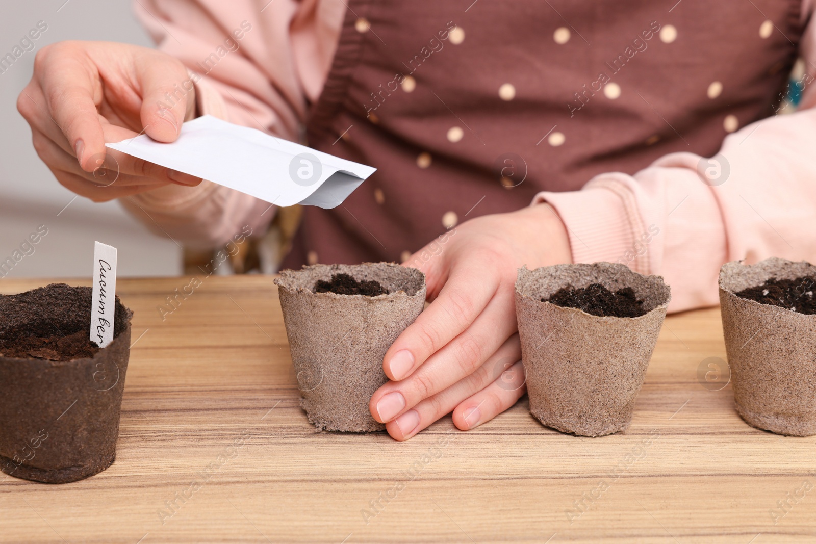 Photo of Woman planting vegetable seeds into peat pots with soil at wooden table, closeup