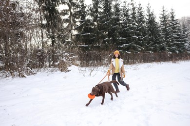 Photo of Woman and her dog playing with flying disk in snowy park