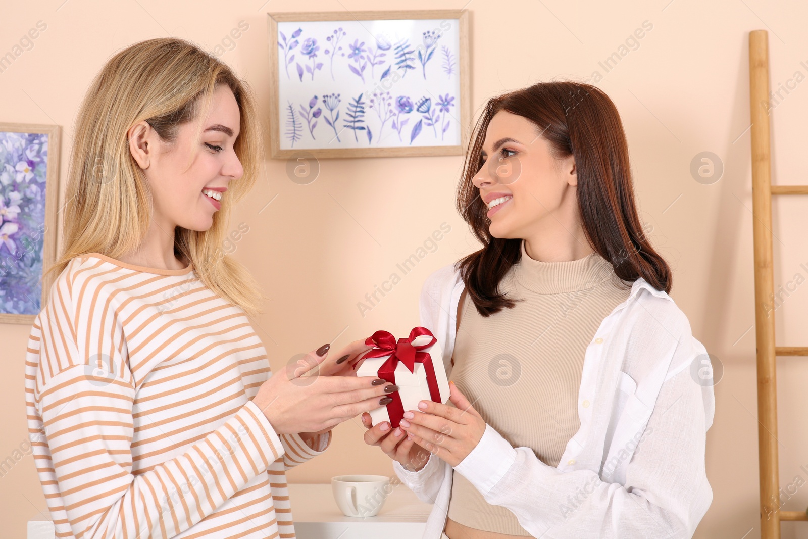 Photo of Smiling young woman presenting gift to her friend at home